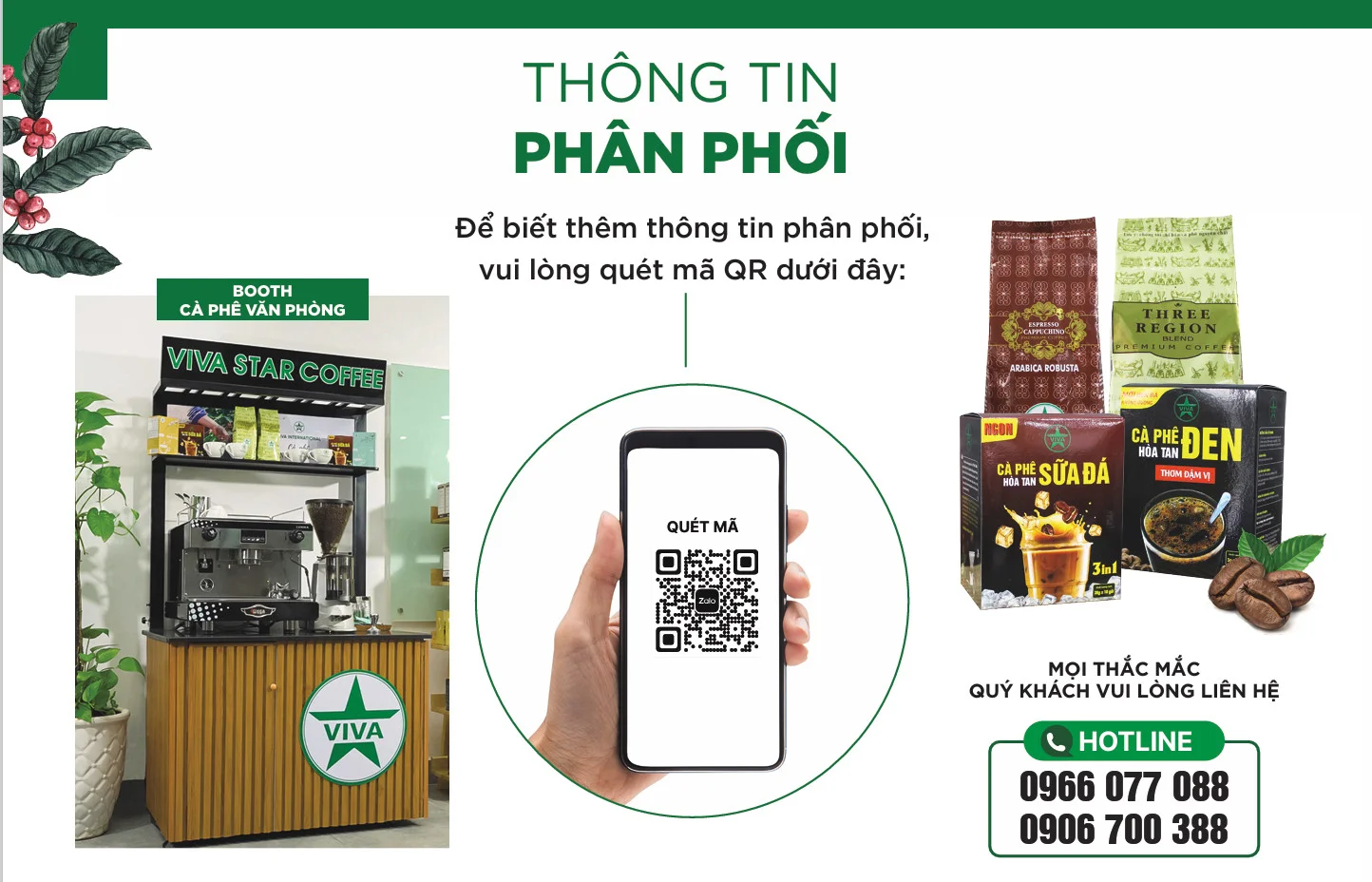Thông tin phân phối Viva Star Coffee - Hotline 0966 077 088 - 0906 700 388